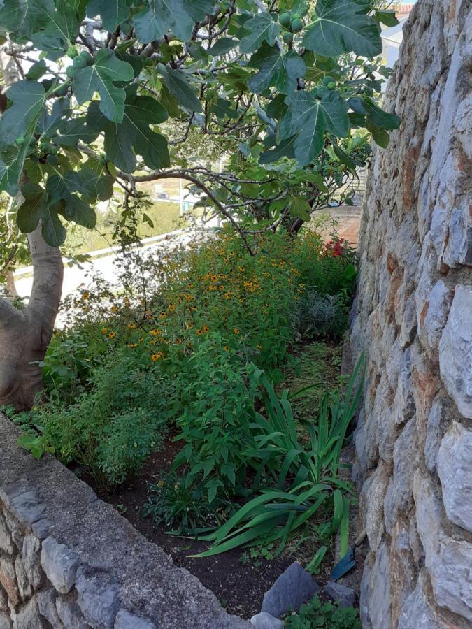 Room Domo Senj  Exterior photo
